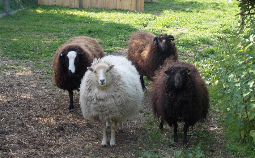 FLEECE,FUR & FEATHER